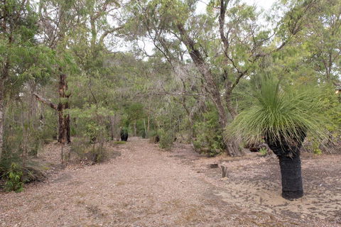 53 Martina Drive - Kempsey Accommodation 30