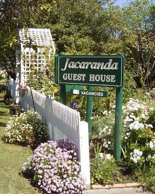 Jacaranda Guest House - Kempsey Accommodation 43
