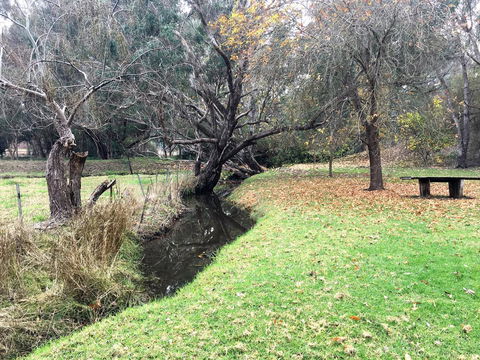 Historic Oakhill House Entire Estate - Kempsey Accommodation 18