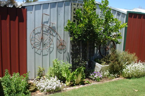 Bluebird Cottage - Kempsey Accommodation 26