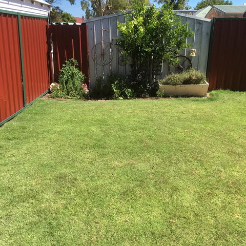 Bluebird Cottage - Kempsey Accommodation 29
