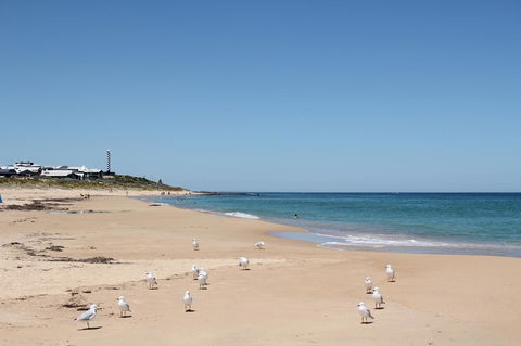 Bluebird Cottage - Kempsey Accommodation 40