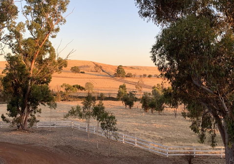 Daisy Cottage - Kempsey Accommodation 4