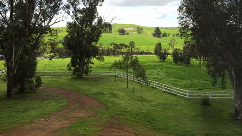 Daisy Cottage - Kempsey Accommodation 22