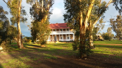 Daisy Cottage - Kempsey Accommodation 26
