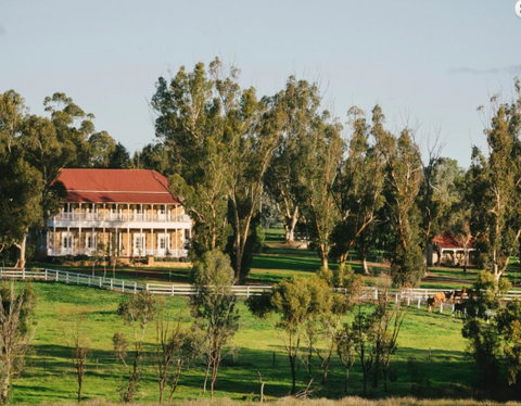 Daisy Cottage - Kempsey Accommodation 7