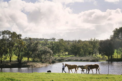 Daisy Cottage - Kempsey Accommodation 28