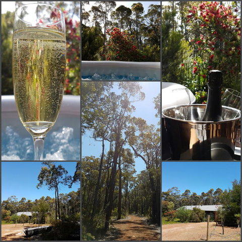 Jarrah Grove Forest Retreat - Kempsey Accommodation 27
