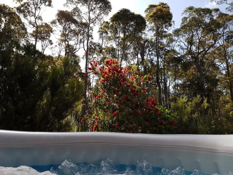 Jarrah Grove Forest Retreat - Kempsey Accommodation 13