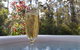 Jarrah Grove Forest Retreat - thumb 11