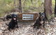 Jarrah Grove Forest Retreat - thumb 23