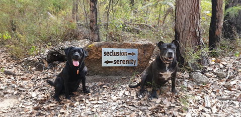 Jarrah Grove Forest Retreat - Kempsey Accommodation 23