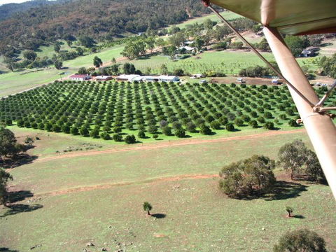 Bindoon's Windmill Farm - Kempsey Accommodation 3