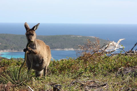 Bremer Bay B&B - Kempsey Accommodation 30