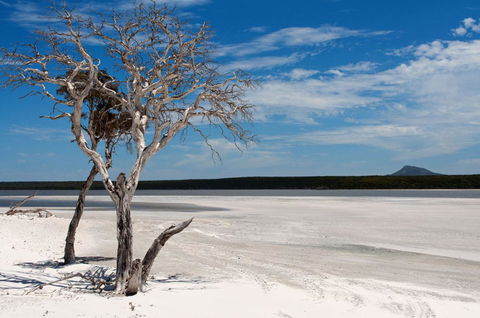 Bremer Bay B&B - Kempsey Accommodation 33