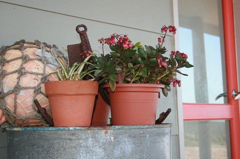 Bremer Bay B&B - Kempsey Accommodation 28