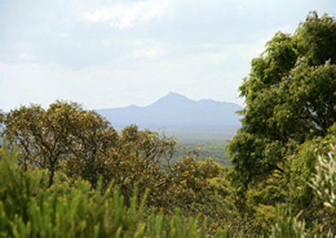Bremer Bay B&B - Kempsey Accommodation 32