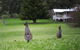 Sienna Lodge - thumb 14
