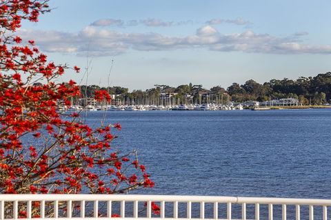 Como Executive Apartment - Kempsey Accommodation 22