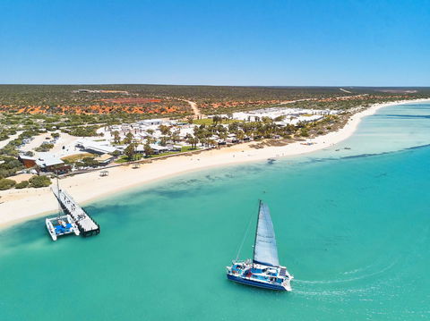 RAC Monkey Mia Dolphin Resort - Kempsey Accommodation 44