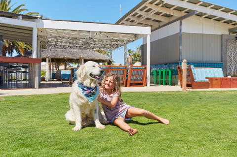 RAC Monkey Mia Dolphin Resort - Kempsey Accommodation 35