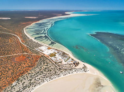 RAC Monkey Mia Dolphin Resort - Kempsey Accommodation 43