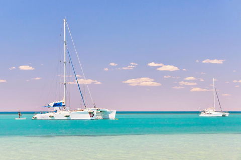 RAC Monkey Mia Dolphin Resort - Kempsey Accommodation 18