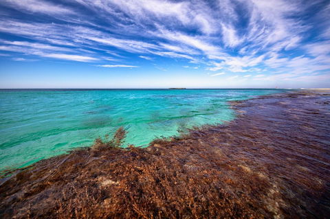 Discovery Resorts - Rottnest Island - Kempsey Accommodation 24