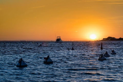 Discovery Resorts - Rottnest Island - Kempsey Accommodation 27