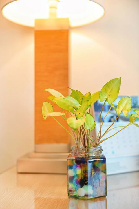 Bunbury Hotel Koombana Bay - Kempsey Accommodation 7