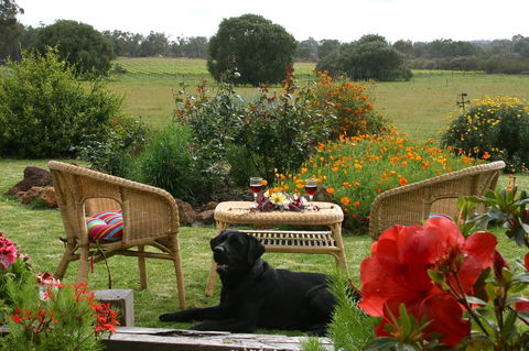 SilverSprings Spa Retreat Pet Friendly Cottages And Glampings - Kempsey Accommodation 0