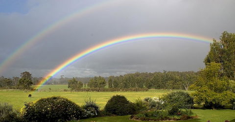 SilverSprings Spa Retreat Pet Friendly Cottages And Glampings - Kempsey Accommodation 19