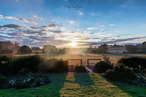 SilverSprings Spa Retreat Pet Friendly Cottages And Glampings - Kempsey Accommodation 26