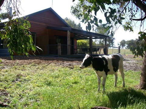 SilverSprings Spa Retreat Pet Friendly Cottages And Glampings - Kempsey Accommodation 23