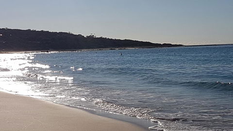 Eagle Bay Discovery - Kempsey Accommodation 0
