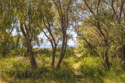 Seahaven - Kempsey Accommodation 7