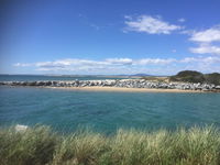 Book Bridport Accommodation Vacations Kempsey Accommodation Kempsey Accommodation