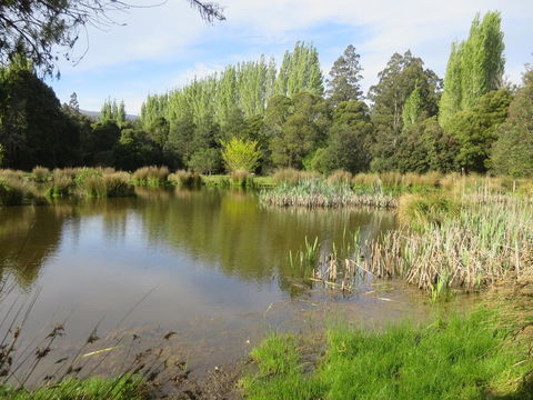 Giants Table And Cottages - Kempsey Accommodation 25