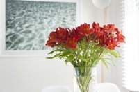 Book Kingston Beach Accommodation Vacations Kempsey Accommodation Kempsey Accommodation
