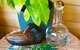 Wandering Geese Boutique Bed And Breakfast - thumb 14