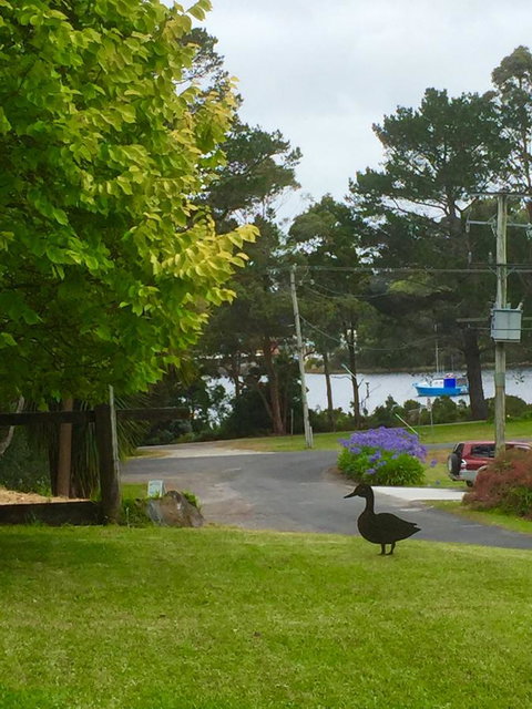 Wandering Geese Boutique Bed And Breakfast - Kempsey Accommodation 15
