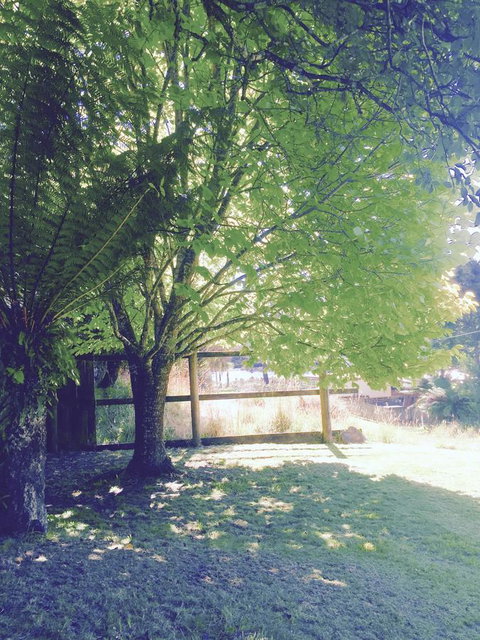 Wandering Geese Boutique Bed And Breakfast - Kempsey Accommodation 30