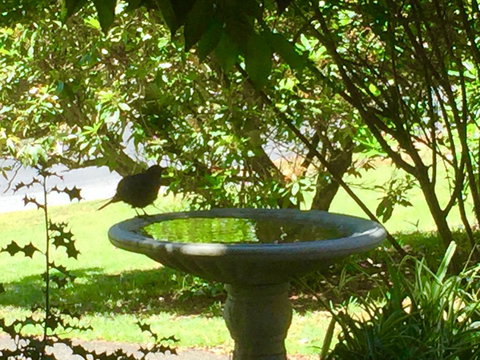 Wandering Geese Boutique Bed And Breakfast - Kempsey Accommodation 19