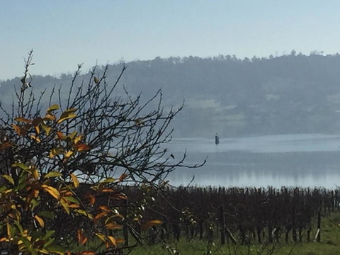 Amble\'a\'While On Tamar - Kempsey Accommodation 23
