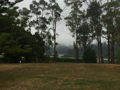Amble\'a\'While On Tamar - Kempsey Accommodation 39