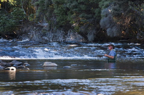 Tyenna River Cottages - Kempsey Accommodation 21