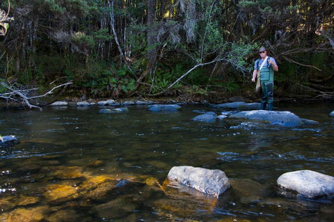 Tyenna River Cottages - Kempsey Accommodation 2
