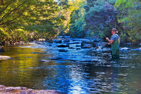 Tyenna River Cottages - Kempsey Accommodation 22
