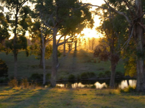 Platypus Park Country Retreat - Kempsey Accommodation 30