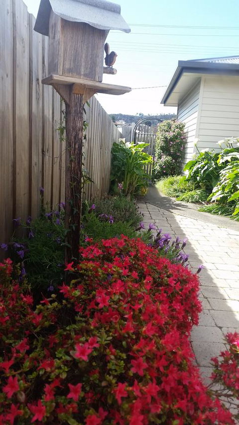 Driftwood-Cottage - Kempsey Accommodation 16